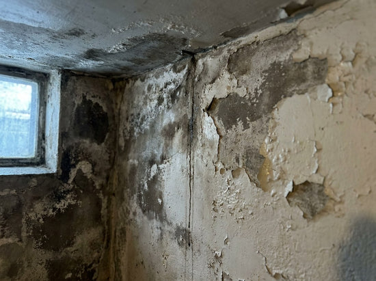 Влажен ъгъл в мазе с петна от вода, солни налепи и лющеща се боя